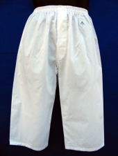 �X�e�e�R�͂������ł���