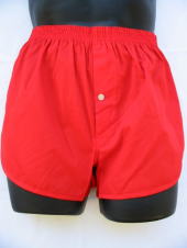 �җ�j���ɐԂ̉���