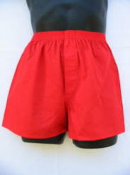 �Ԃ̃g�����N�X�ł����N��