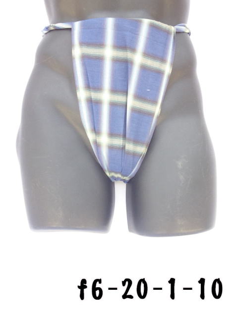 ����̐��n�ō��܂����B