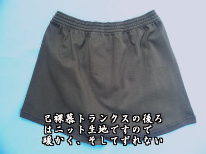 ���Q�l�摜